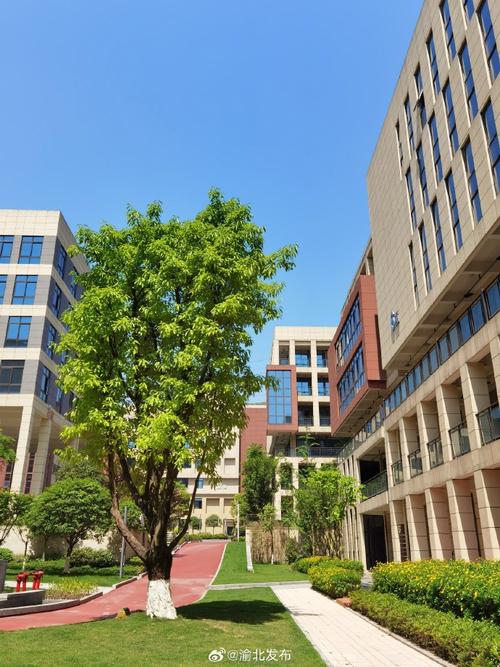 【渝北聚"星"成鏈 加快建設重慶國盛數字創意產業園】
